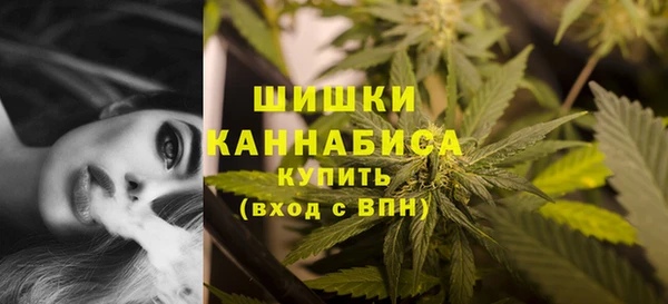 сатива Кукмор