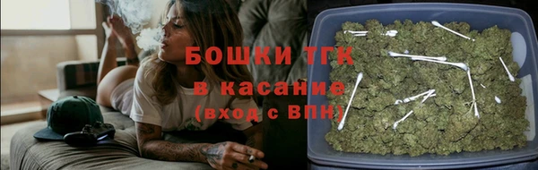 PSILOCYBIN Корсаков