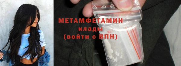 сатива Кукмор