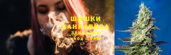 ECSTASY Ладушкин