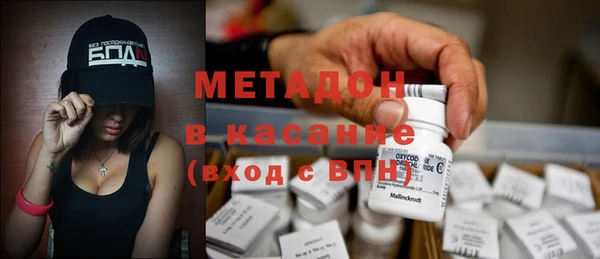 сатива Кукмор