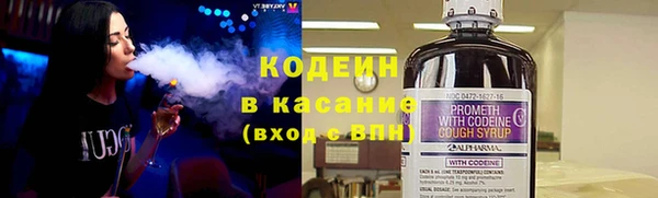 сатива Кукмор