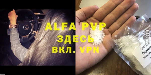 ECSTASY Ладушкин