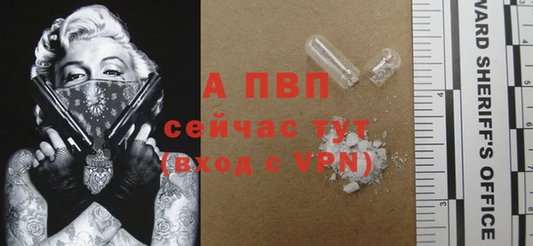 сатива Кукмор