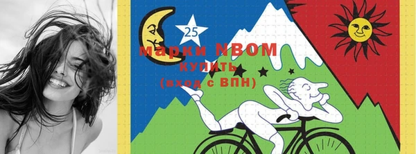 сатива Кукмор
