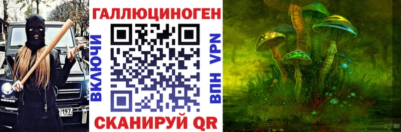 Галлюциногенные грибы Psilocybe  Мелеуз 