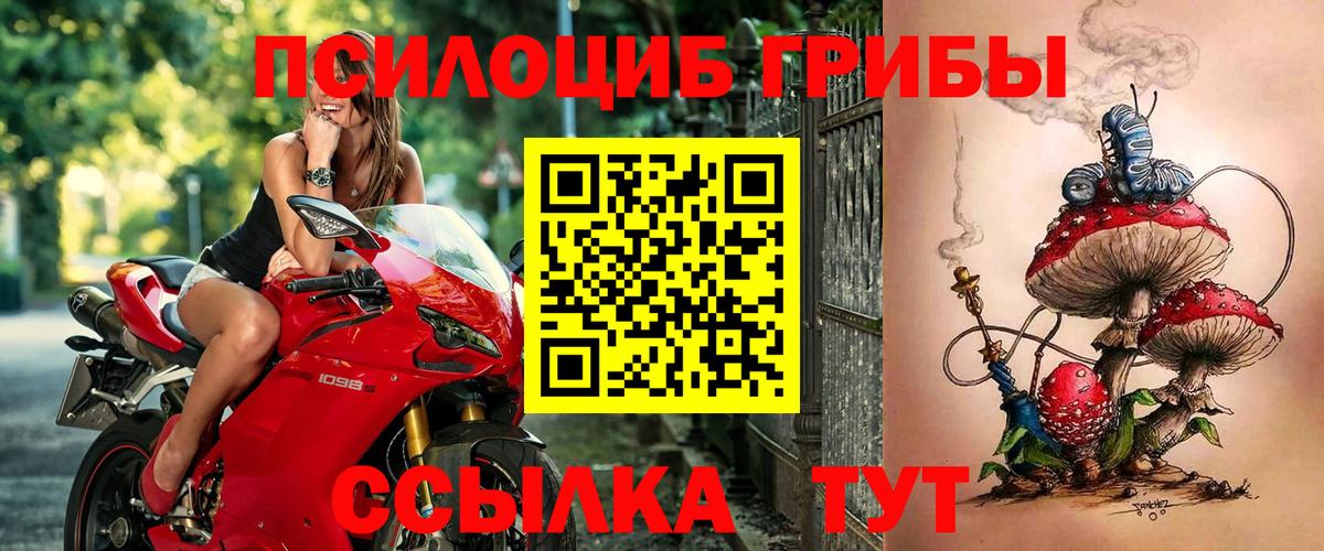 Галлюциногенные грибы Psilocybe Мелеуз