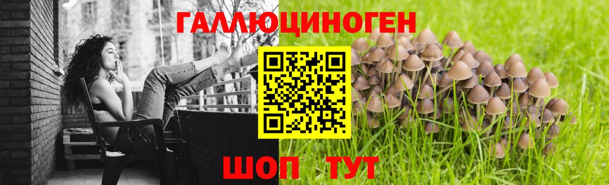 купить  сайты  Псилоцибиновые грибы GOLDEN TEACHER  Вход с VPN  Мелеуз 